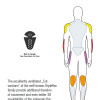 SAS-TEC KCA2air Level 2 TRIPLE-FLEX Vented Size Cut Shoulder & Hip Armour Inserts - Pair